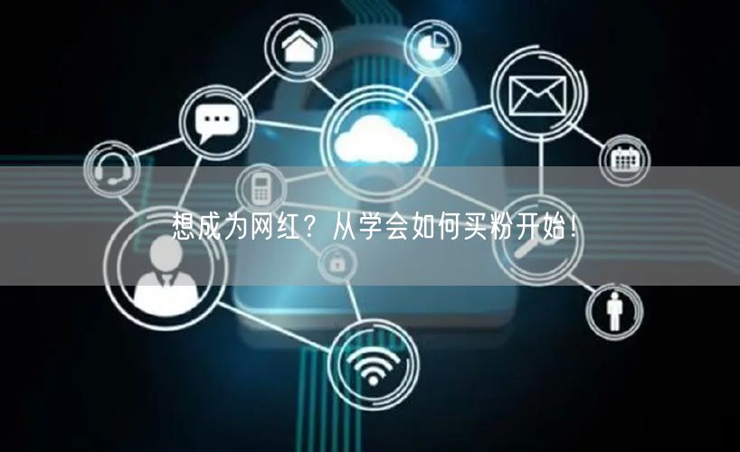 想成为网红？从学会如何买粉开始！