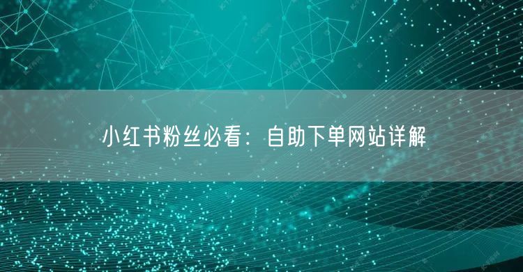 小红书粉丝必看：自助下单网站详解